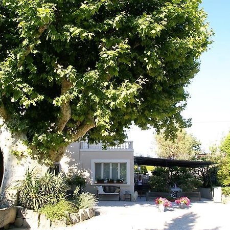 Hotel Le Vieux Platane à Cairanne Extérieur photo